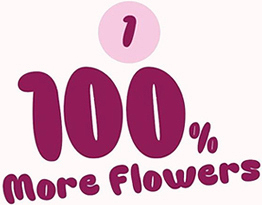 1 100% More Flowers